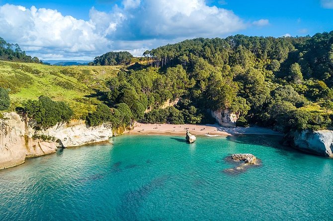 Cathedral Cove & Coromandel Peninsula Small-Group Day Tours - Guides, group size, and the feel of the day