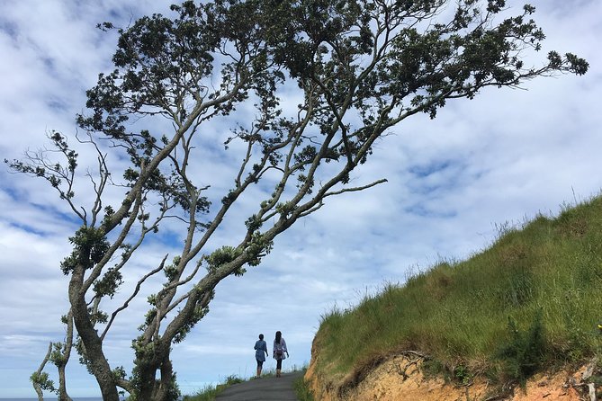 Cathedral Cove Day Trip from Auckland - Key points to know