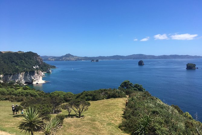 Cathedral Cove Day Trip from Auckland - Mount Paku and the final burst of effort