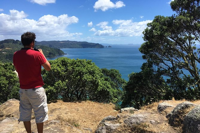 Cathedral Cove Day Trip from Auckland - Is $242.02 a fair price?