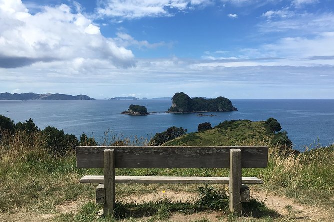 Cathedral Cove Day Trip from Auckland - Who should book this experience?