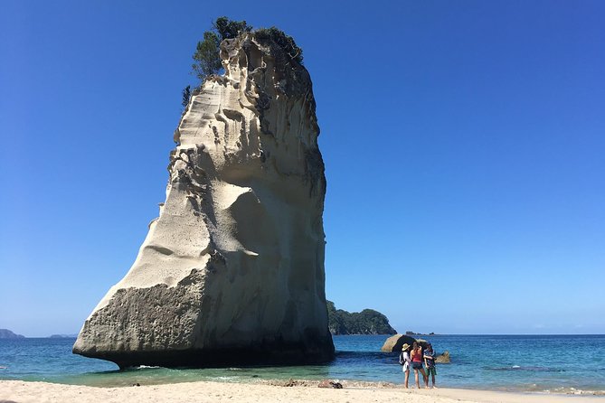 Cathedral Cove Day Trip from Auckland - Hot Water Beach: a quick encounter with natural heat