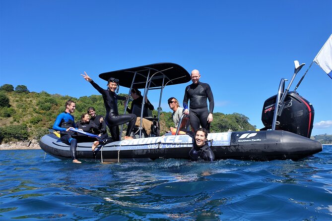Cathedral Cove Dive & Snorkel- Marine Reserve specialised trips - Key points before you book