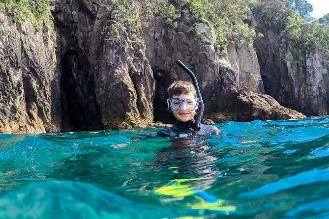 Cathedral Cove Dive & Snorkel- Marine Reserve specialised trips - One hour among reefs, rays, and snapper
