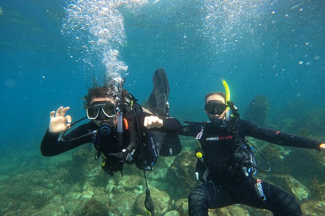 Cathedral Cove Dive & Snorkel- Marine Reserve specialised trips - The value of the $98.67 price