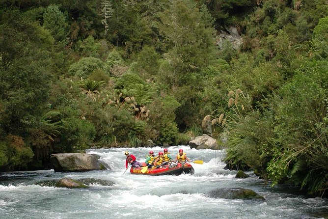 Cathedral Cove Kayak Tour - Reaching Cathedral Cove by water