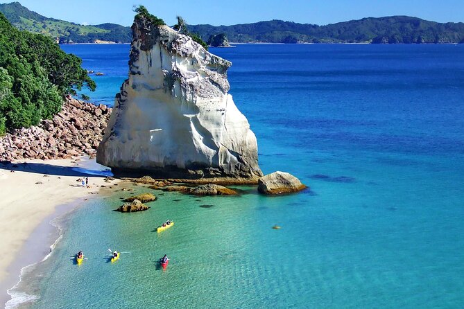 Cathedral Cove Kayak Tour - What the guides add to the experience