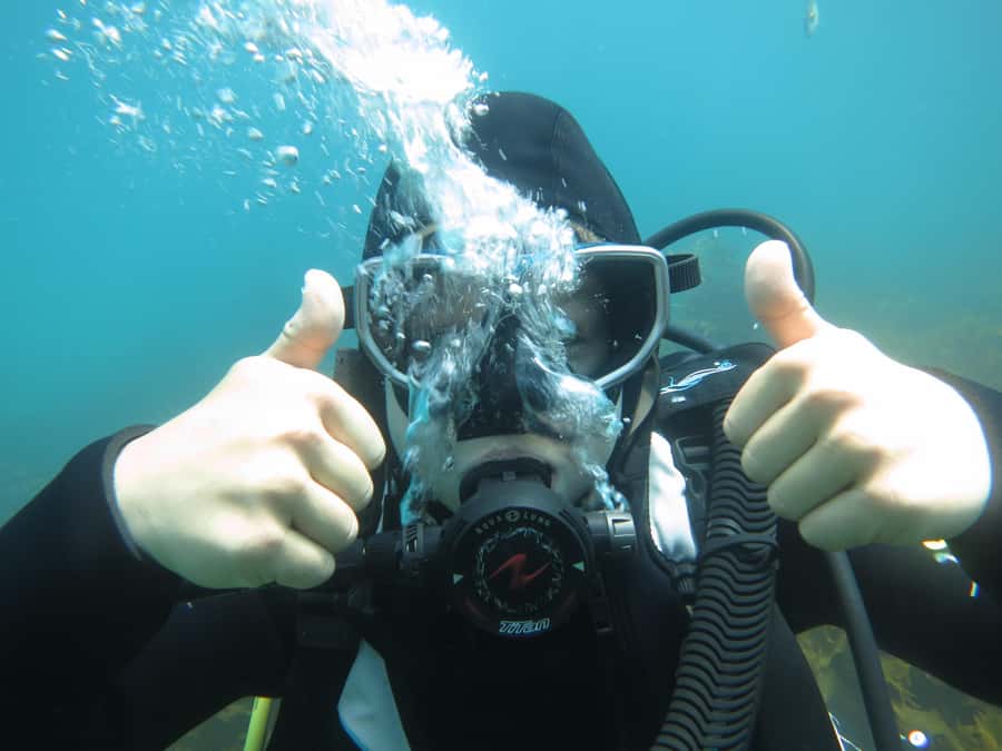 Cathedral Cove Marine Reserve: Snorkeling Boat Trip - Is $85 good value?