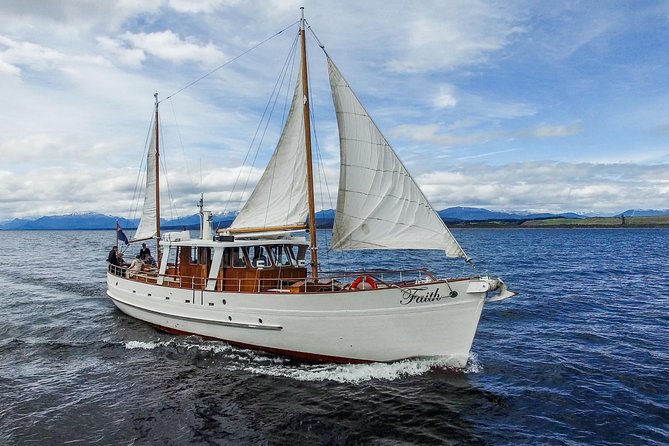 Champagne Sightseeing Cruise on Lake Te Anau - Sheltered coves and the captain’s chosen bay