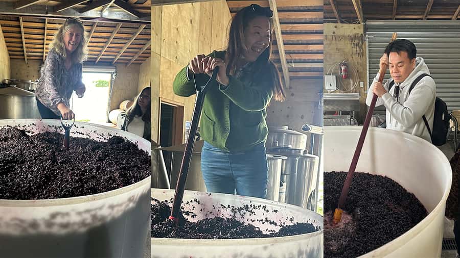 Chefs Private Martinborough wine tour with Gourmet Lunch - Should you book it?