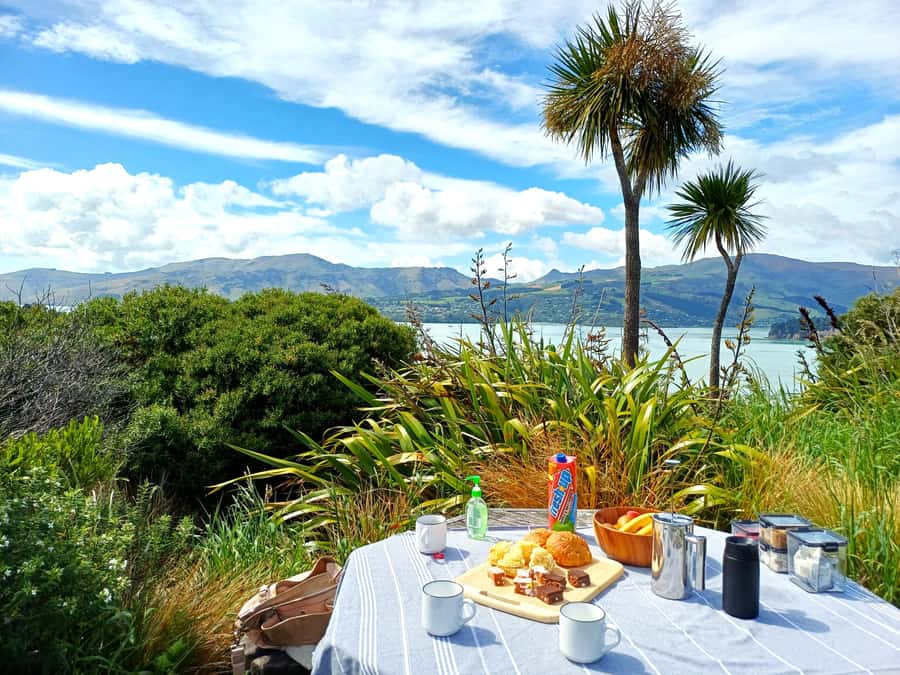 Christchurch: 1/2-Day Scenic Highlights Small Group Tour - Tea and wide views at the Sign of the Bellbird