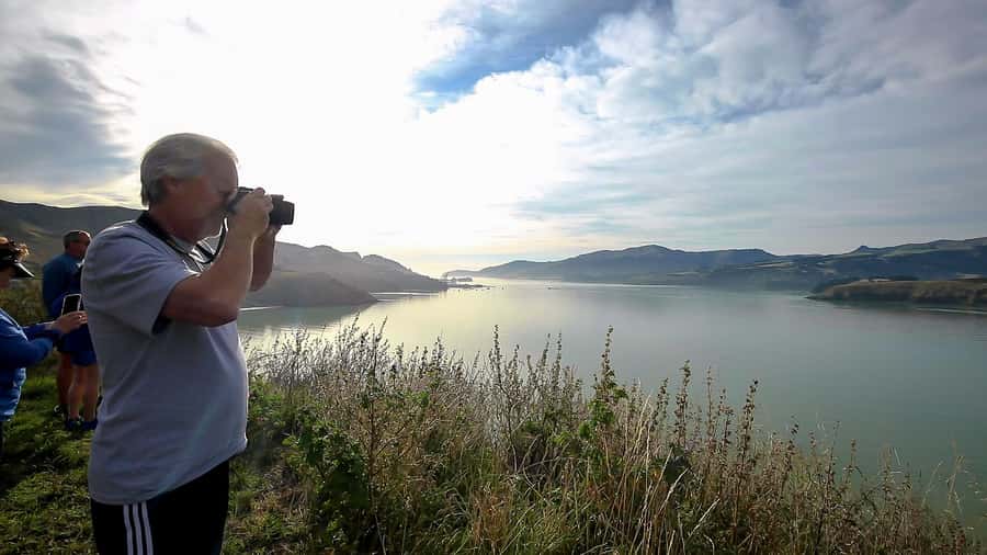 Christchurch: 1/2-Day Scenic Highlights Small Group Tour - What the price includes at $178