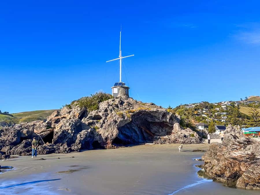Christchurch: 1/2-Day Scenic Highlights Small Group Tour - Group size, pickup, and timing