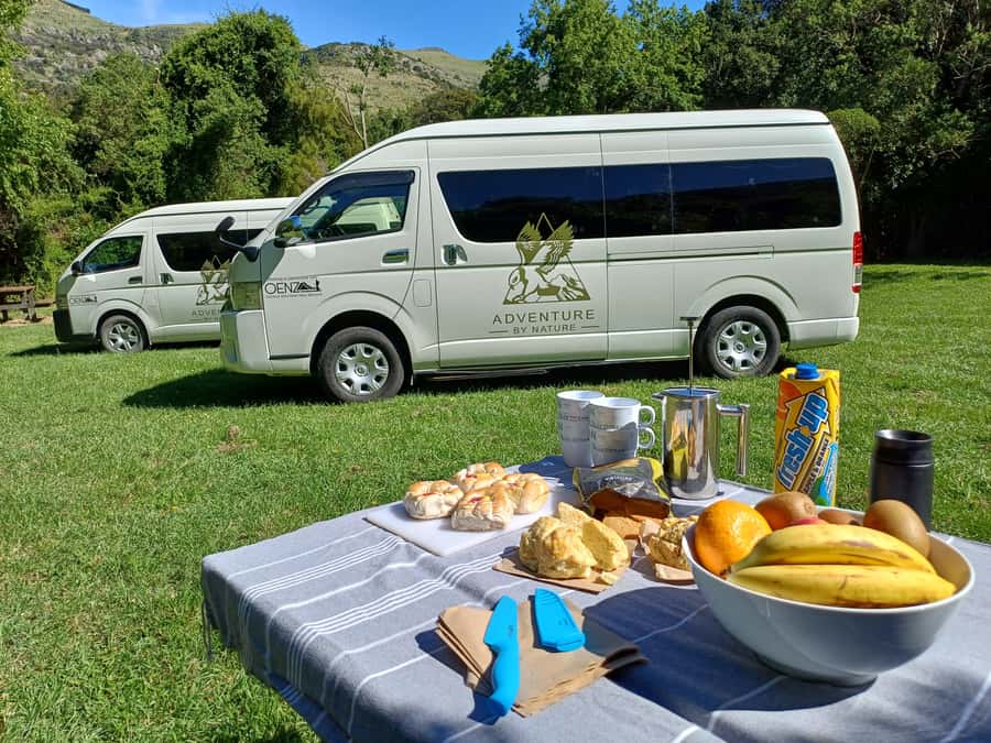 Christchurch: Arthur's Pass & Castle Hill Scenic Day Tour - Morning tea beside Lake Lyndon