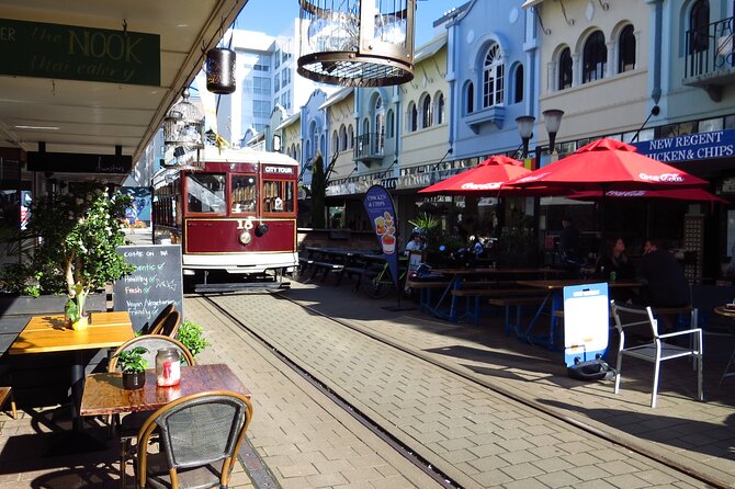 Christchurch City and Beaches Private Tesla Tour - Key points at a glance