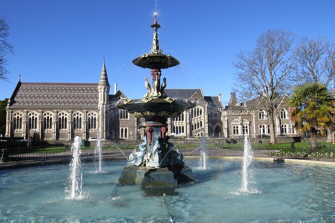 Christchurch City and Beaches Private Tesla Tour - Why this tour works for a first day in Christchurch