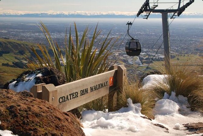 Christchurch City Full Day Private Tour - What the vehicle and guide add to the day