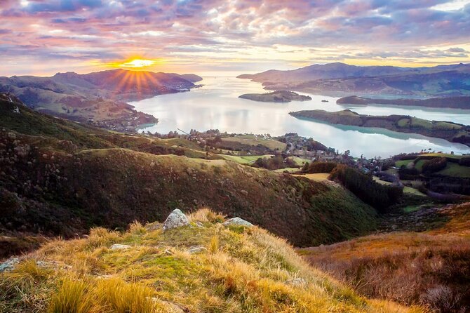 Christchurch City Highlights Half Day Tour - Willowbank and New Zealand’s native wildlife