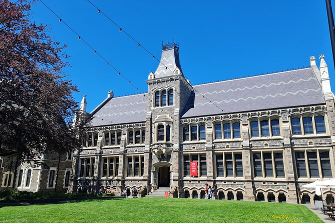 Christchurch City Highlights Half Day Tour - The Cardboard Cathedral and a city rebuilding itself