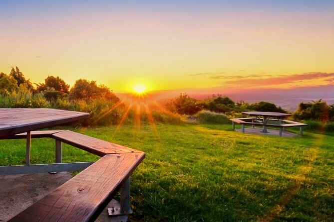 Christchurch City Highlights Half Day Tour - Who should book this Christchurch tour?