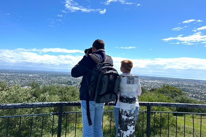 Christchurch City Top Sights Half Day Tour(Small Group Tour) - A quick way to see Christchurch’s main ideas
