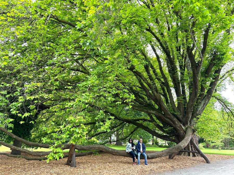 Christchurch City Top Spots Half Day Tour(Small Group Tour) - Does NZ$119 offer fair value?