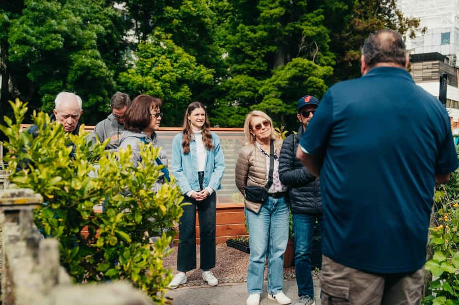 Christchurch City Top Spots Half Day Tour(Small Group Tour) - Who gets the most from this half-day tour?