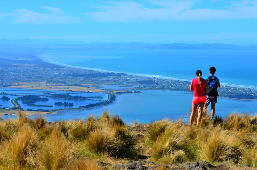 Christchurch: Full or Half-Day Rock Climbing Tour with Guide - Key points to know before you book