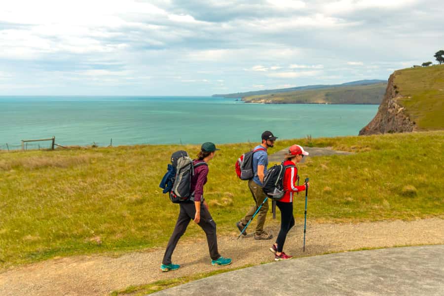 Christchurch: Godley Head & Lyttelton Guided Walking Tour - Key points at a glance