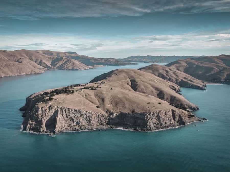 Christchurch: Godley Head & Lyttelton Guided Walking Tour - Transport, timing, and the choice between half-day and full-day