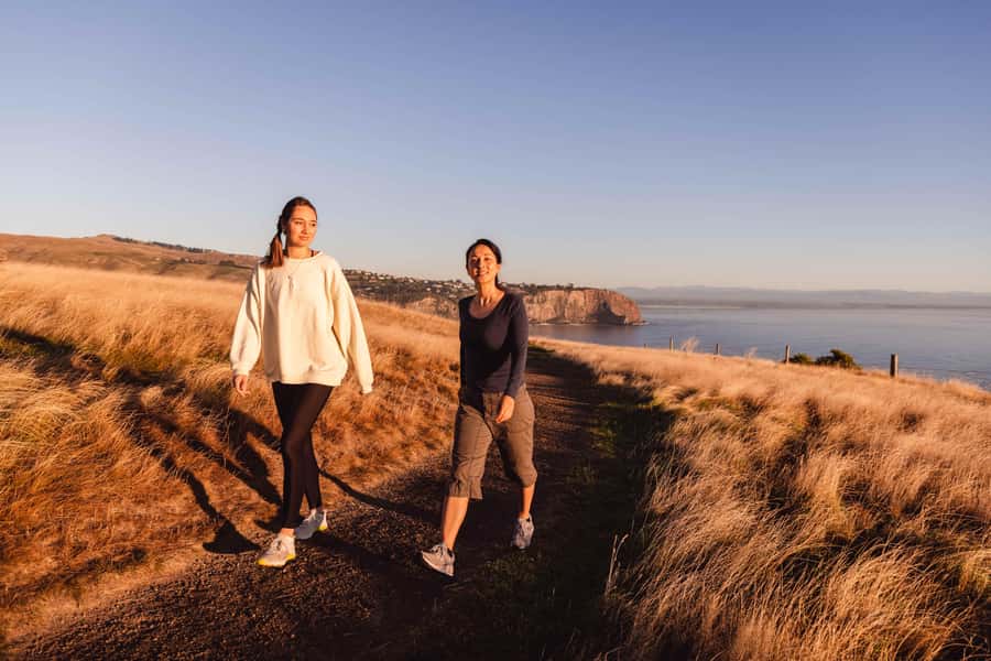 Christchurch: Godley Head & Lyttelton Guided Walking Tour - Why Godley Head makes a fine Christchurch day out