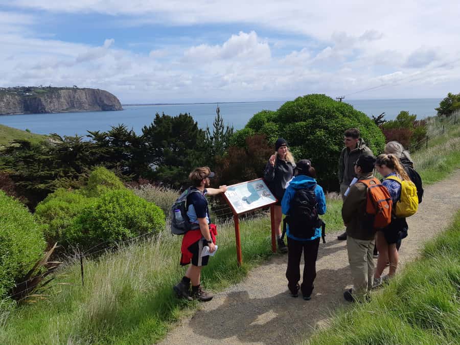 Christchurch: Godley Head & Lyttelton Guided Walking Tour - Evans Pass and the road down to Sumner