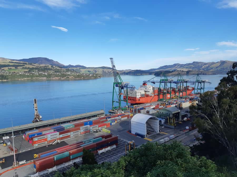 Christchurch: Godley Head & Lyttelton Guided Walking Tour - Taylors Mistake starts the coastal walk