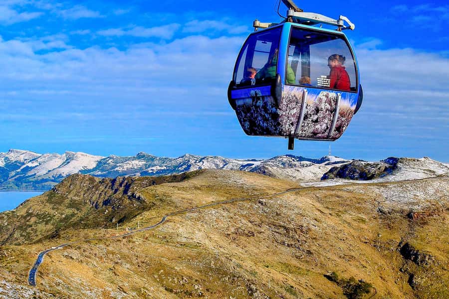 Christchurch: Gondola Ride - Walking the Port Hills at the top