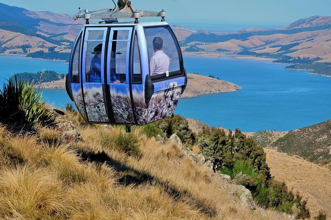 Christchurch Gondola Ride Ticket - Key things to know before you go