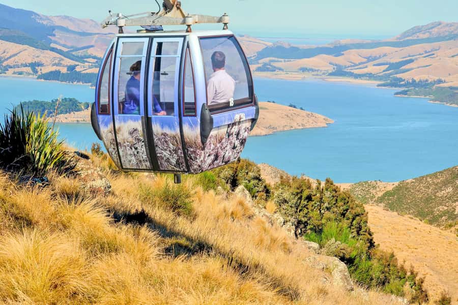 Christchurch: Gondola Ticket and Punt Ride on the Avon River - Should you book the punt and gondola?