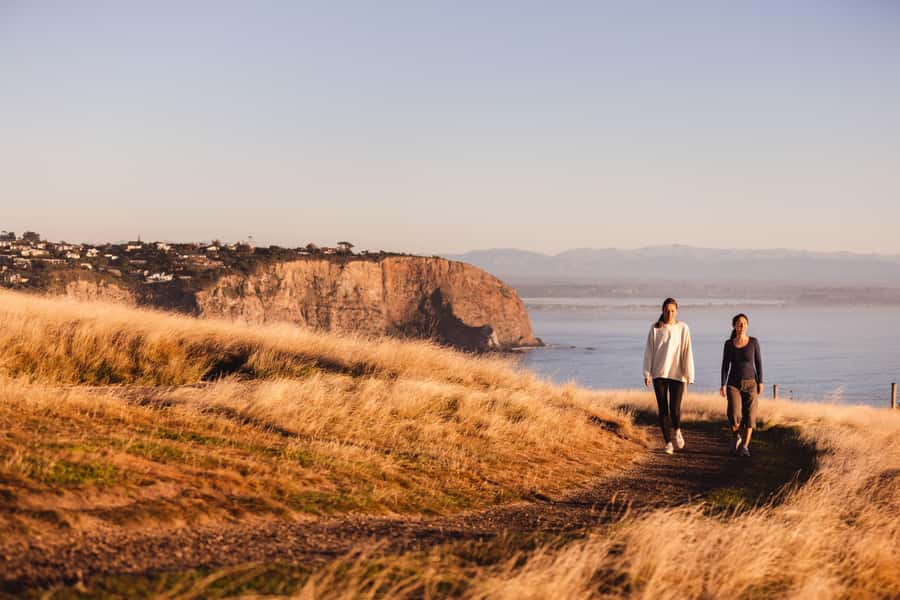 Christchurch: Guided Crater Rim Walk with Picnic - Key details that shape the day