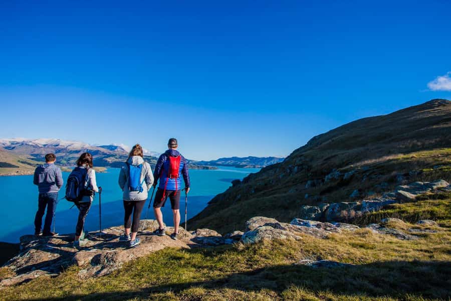 Christchurch: Guided Crater Rim Walk with Picnic - From Christchurch or Lyttelton to Taylors Mistake