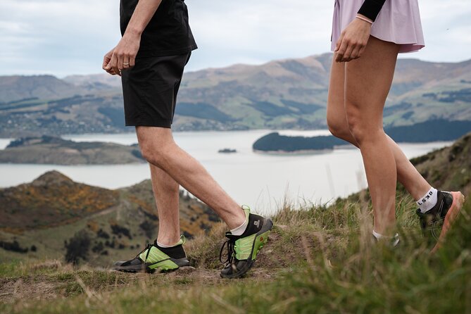 Christchurch Highlights Tour (Full Day Private) - Lyttelton Harbour and the Port Hills