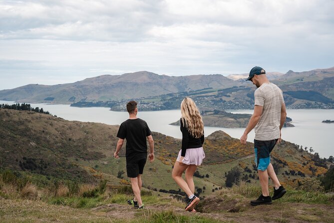 Christchurch Highlights Tour (Full Day Private) - Christchurch city, from central streets to the Botanic Gardens