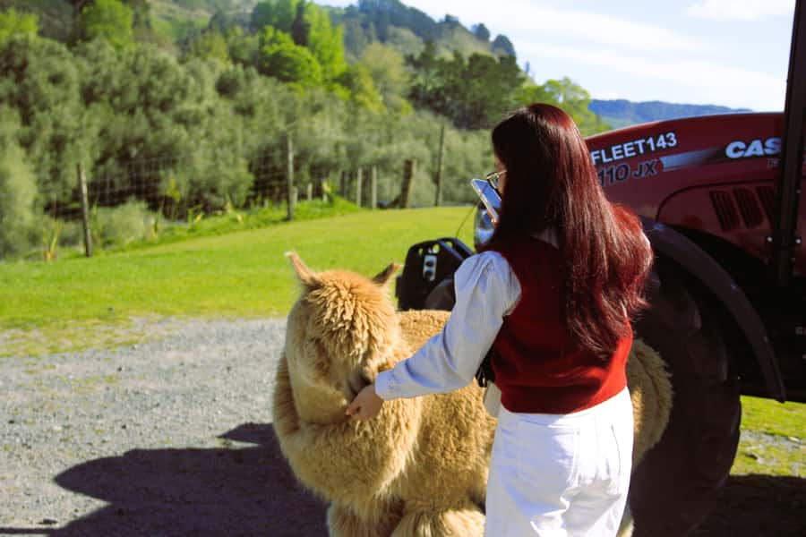 Christchurch: Lake Tekapo Stargazing & Mount Cook 2-Day Tour - Lavender Farm from October to April