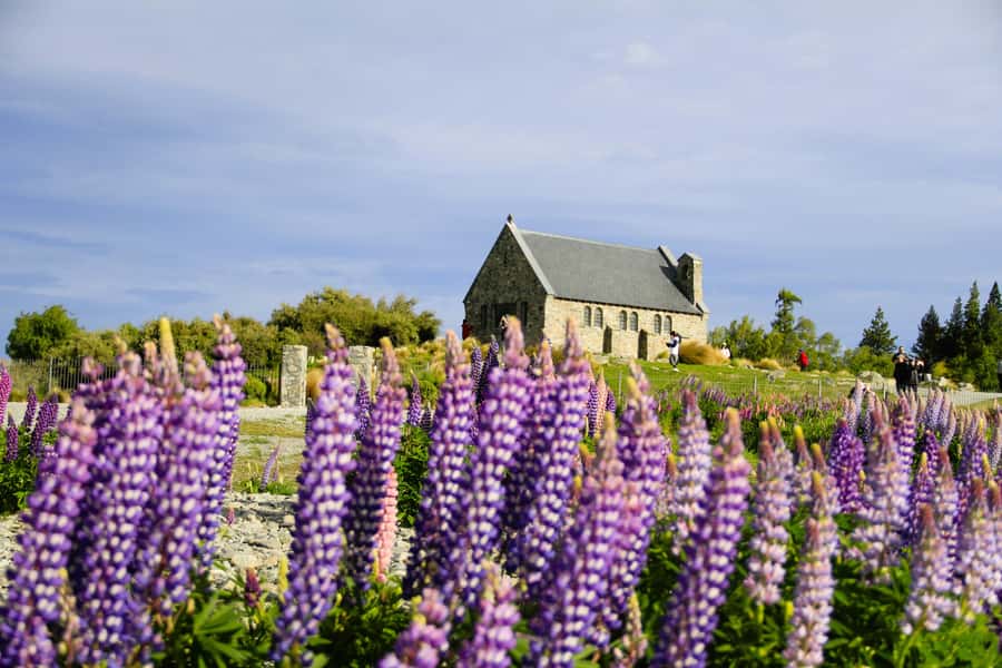 Christchurch: Lake Tekapo Stargazing & Mount Cook 2-Day Tour - Lake Pukaki and the first big views