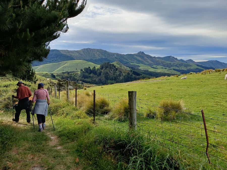 Christchurch: Packhorse Hut Guided Walk and Scenic Drive - Gebbies Pass marks the start of the hike