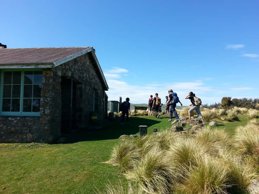 Christchurch: Packhorse Hut Guided Walk and Scenic Drive - What to bring and how to judge the difficulty