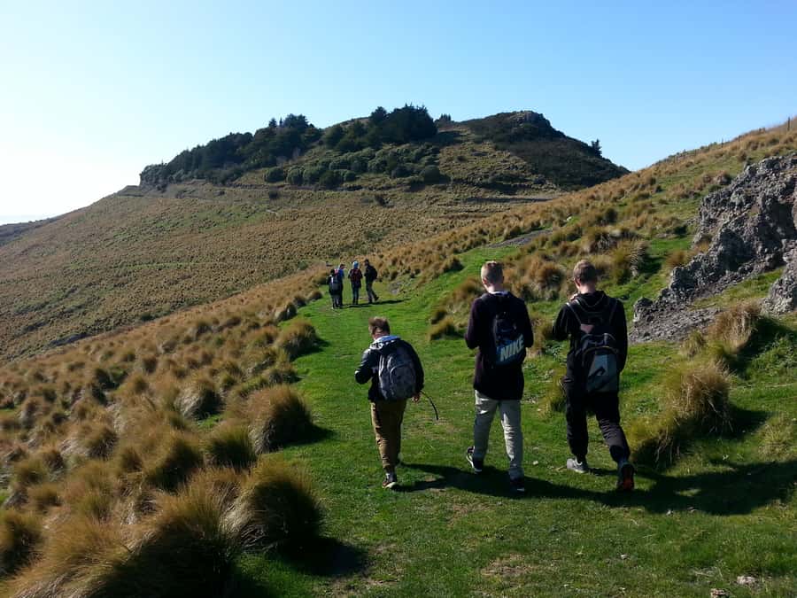 Christchurch: Packhorse Hut Guided Walk and Scenic Drive - Who should book the Packhorse Hut walk?