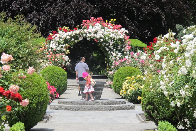 Christchurch Private Luxury Full Day Tour - The Cardboard Cathedral and the earthquake story