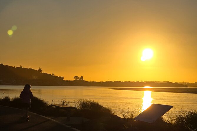 Christchurch Private Tour (Premium) Full day - Timing, meeting details, and cancellation terms