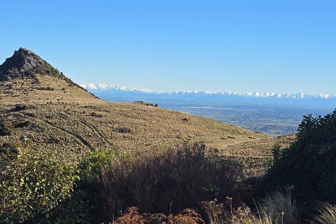 Christchurch Private Tour (Premium) Full day - Riverside Market, the Botanic Gardens, and optional city rides