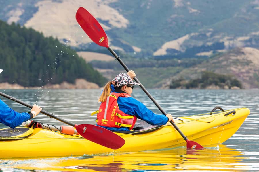 Christchurch: Sea Kayaking Tour of Lyttelton Harbour - Why this harbour day is more than a standard kayak trip