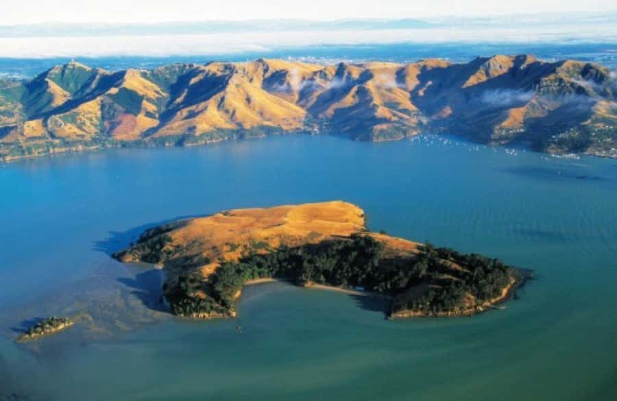 Christchurch: Sea Kayaking Tour of Lyttelton Harbour - Who should book this Quail Island outing?